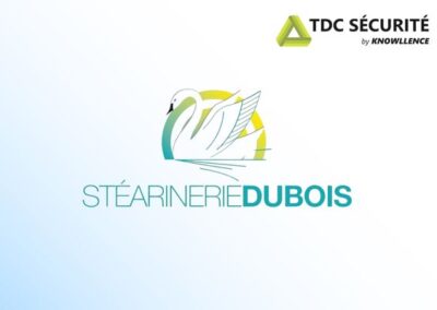 Stéarinerie Dubois : lier risque professionnel et risque chimique